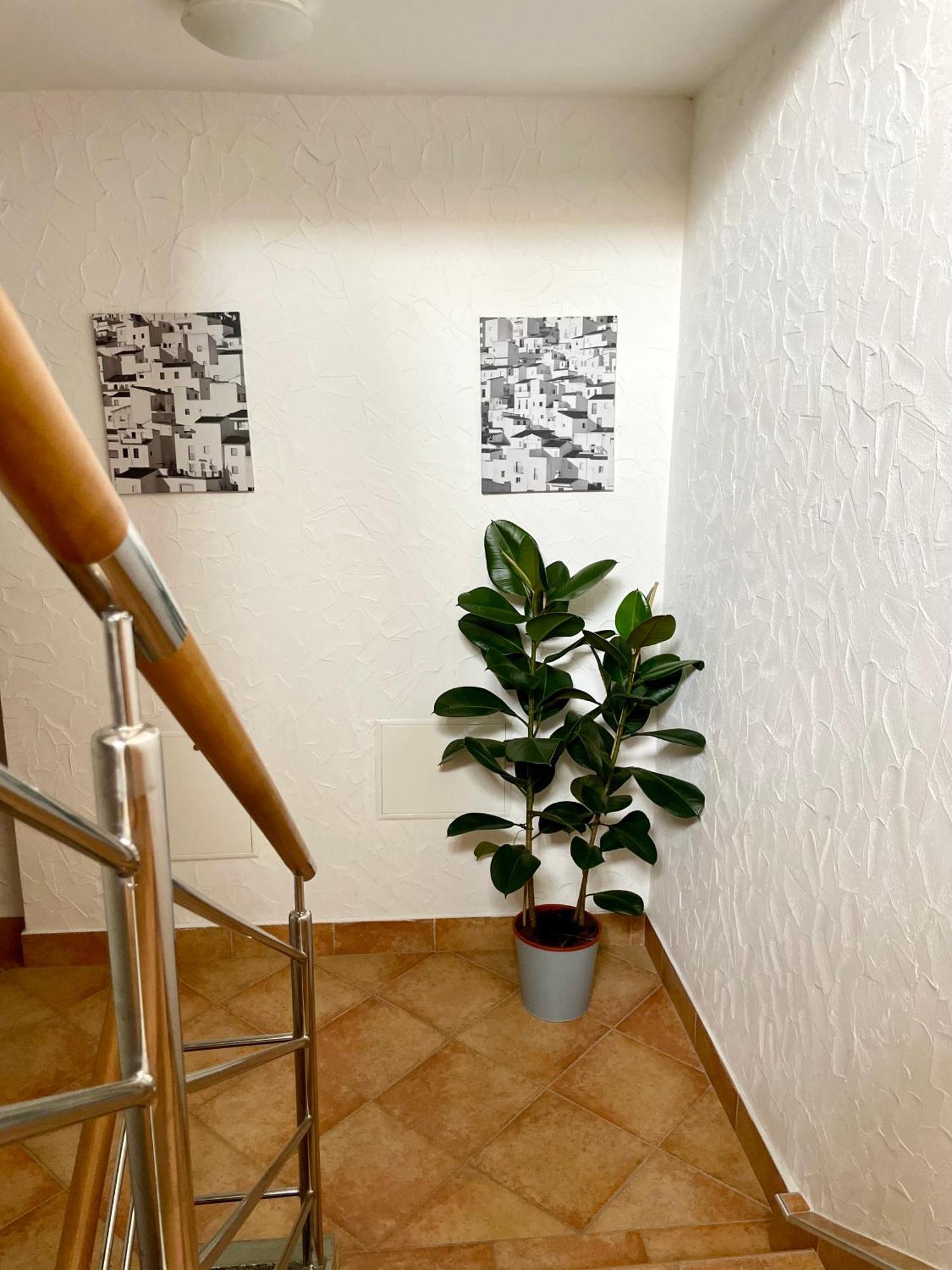 All Seasons Apartments ラーシュコ エクステリア 写真